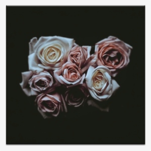 Rose Bouquet - Wallpaper