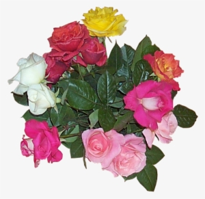 Flower Bouquet Yellow White Red - Wikimedia Commons