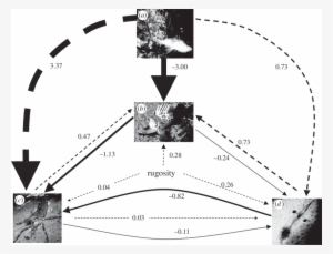 Path Model Measuring Direct And Indirect (curved Arrows) - Euhel