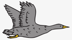 Goose Clipart Grey Goose