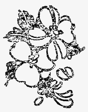 However, I Love That The Distressed Look Only Gives - Illustration