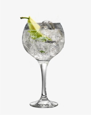 Grey Goose & Tónica Original Premium Grey Goose & Tónica - Copa Martin Miller's Png