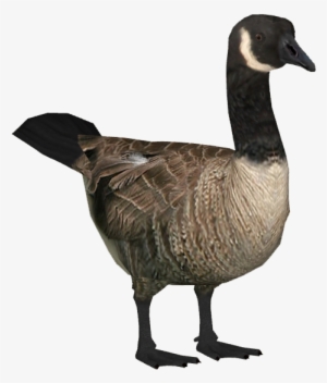 Goose Clipart Transparent - Goose Transparent