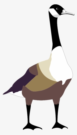 Bird Free Vector - Goose Clipart