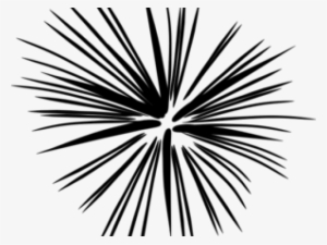 Starburst Clipart Transparent - Free Black And White Firework