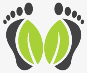 Medical Foot, Medical, Foot, Herbal Png And Vector - Illustration