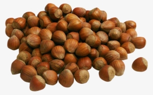 Hazelnut Png Transparent