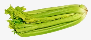 Green Celery Png Image - Png Celery