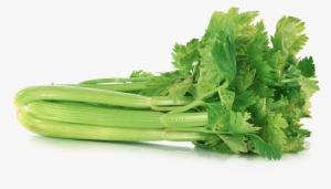 Celery Transparent Png - Celery Transparent