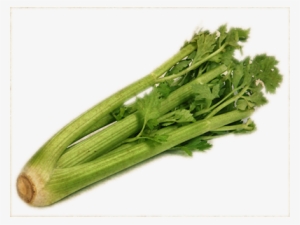 Celery Transparent Background - ซา ลา รี่