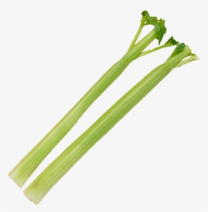 Celery Stick Png