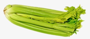 Photo 2 From Pixabay N9jfqr - Celery Hearts Png
