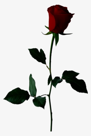 Cemetery Drive, Pencil Watercolor A Little Bit Of Space - Romantic Image Download Full Hd