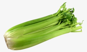 Leek