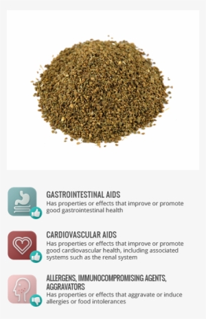 Allergens - Michele's Pantry Celery Seed 16 Oz - 1lb.