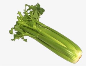 Celery