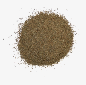 Celery Seed - Σποροσ Σελινο
