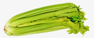 Celery-692867 960 - Health