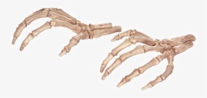 Skeleton Hands - Crazy Bonez Skeleton Hands For Halloween Decoration