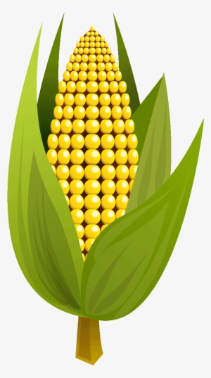 Corn Clipart Yellow Fruit - Maize