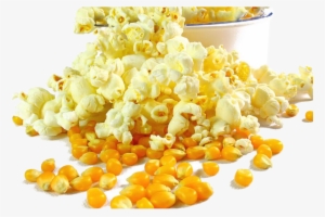 Popcorn Kettle Corn Grits Maize Corn Kernel - Milho De Pipoca