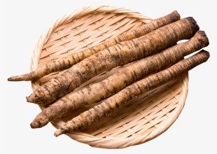 Burdock Root In Bowl Png Image - Greater Burdock Vegetable