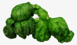 Green Popcorn Kernel