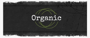 Organic Cafe Restaurant Grunge Wordpress Theme - 3drose Get Shit Done White Lettering