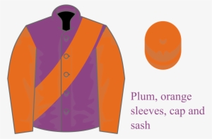 Plum, Orange Sleeves, Cap And Sash - Baron Amherst Of Hackney