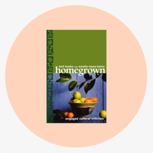 Bookrec 5 - Homegrown: Engaged Cultural Criticism