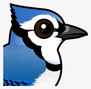 About The Blue Jay - Cartoon Blue Jay Bird
