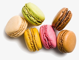 Macaron Png Image Background - Transparent Background Macaron Png
