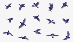 Butterfly 14 By Wolverine041269 On Deviantart - Bird