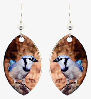 Blue Jay - Earrings