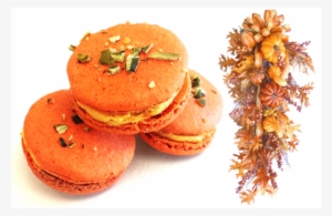 Spiced Pumpkin Macarons - New Jersey