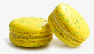 Pâtisserie Chocolaterie Zanin - Zanin