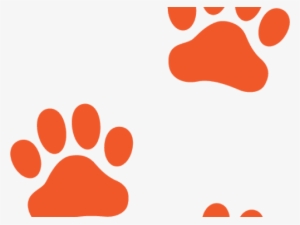 Dog Paw Print Orange