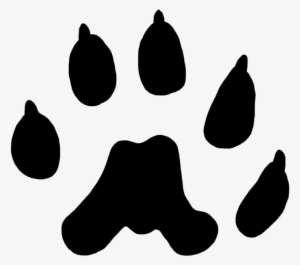 Cat Paw Prints - Weasel Paw Print