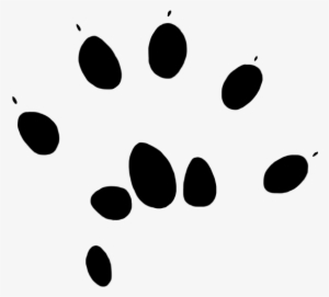 Free Download Mouse Paw Print Clipart Computer Mouse - Paw Mouse