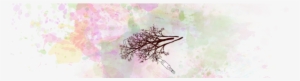 Watercolor3 - Drawing