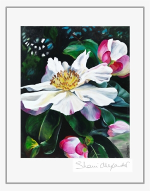 Simply Elegant T-towel - Camelia Canvas Print With Frame