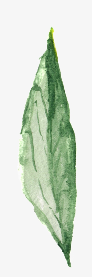 Plant Green Leaf Transparent Decorative - Green