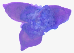 Tropical Purple Flower Elements 0000 Layer 1 - Portable Network Graphics