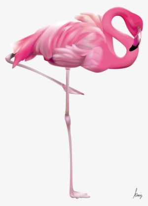 Flamingo By Leo - Flamingo Png