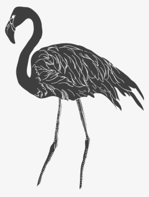 Flamingo Drawing Crane - Drawing