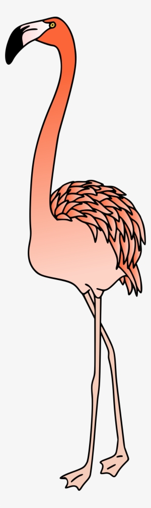 Big Image - Portable Network Graphics