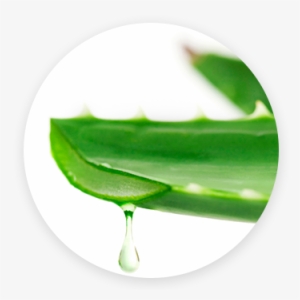 Aloe Vera - Babaria Aloe Vera Cleansing Milk 400 Ml -