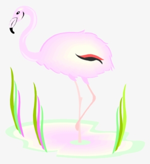 Free Flamingo Clipart - Clip Art