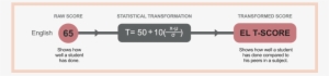 T-score - T Scores Education