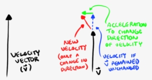 You Are Constantly Accelerating In Every Moment Of